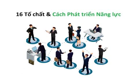 16 Key Traits  phát triển năng lực cá nhân
