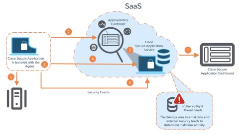 Application Security and Monitoring