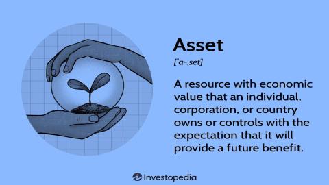 Assets in Accounting