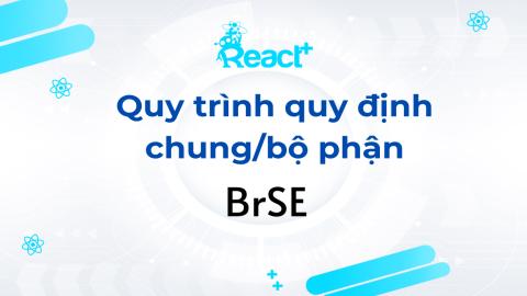 Quy trình quy định chung/bộ phận BrSE