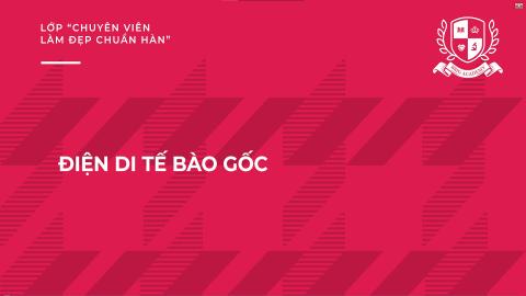 Điện di tế bào gốc