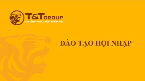 Đào tạo hội nhập T&T Group