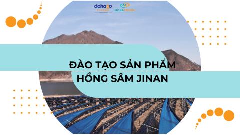 [Nhóm 2] Đào tạo Hồng sâm thái lát tẩm mật ong Hàn Quốc