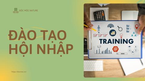Đào tạo Hội nhập Độc Mộc