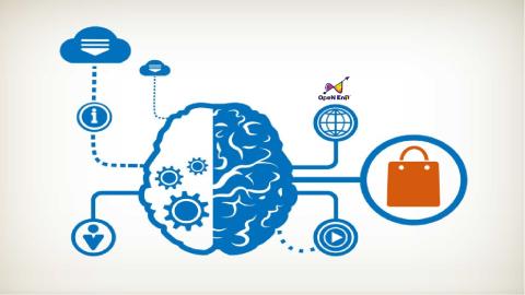 Shopper MIA (Mission - Insight - Action): Nắm bắt tâm lý người mua hàng