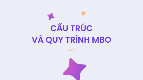Tuần 3: Cấu trúc và Quy trình MBO