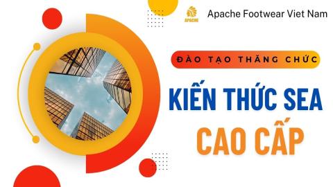 Kiến thức SEA cao cấp