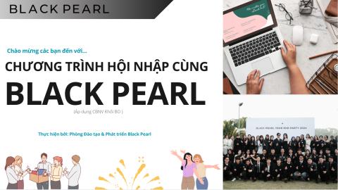 Định Hướng Hội Nhập - Khối Văn Phòng