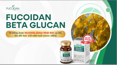 Đào tạo sản phẩm Fucoidan betaglucan