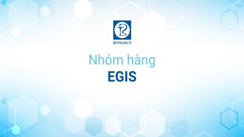 Nhóm hàng Egis