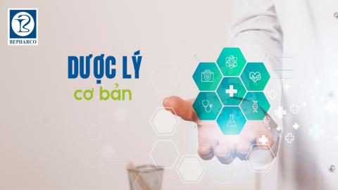 Dược lý cơ bản