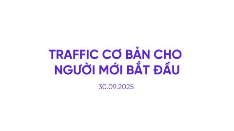 Traffic cơ bản cho người mới bắt đầu