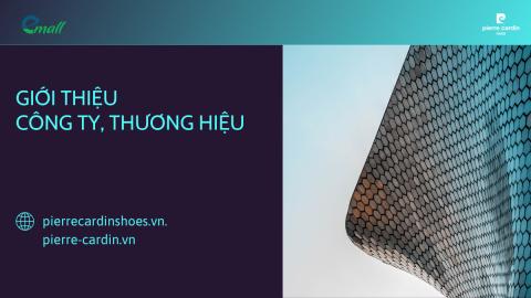GIỚI THIỆU VỀ CÔNG TY