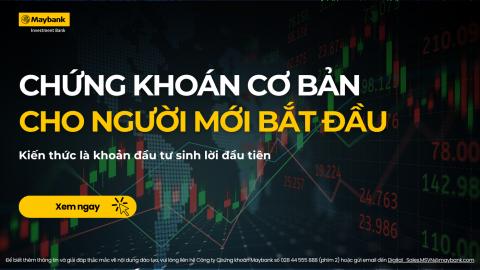 Chứng Khoán Cơ Bản Cho Người Mới Bắt Đầu