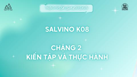 SALVINO K08: CHẶNG 2_KIẾN TẬP VÀ THỰC HÀNH