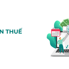 Thực hành kế toán thuế toàn tập để vận dụng ngay trong doanh nghiệp