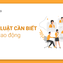 Khoá học Pháp luật lao động