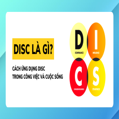 DISC Personality: Thấu hiểu tính cách để hợp tác hiệu quả
