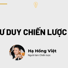 Chiến lược tổ ong: Tư duy chiến lược ứng dụng trong kinh doanh