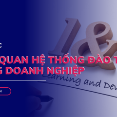 Training System: Tổng quan từ lý thuyết đến thực hành