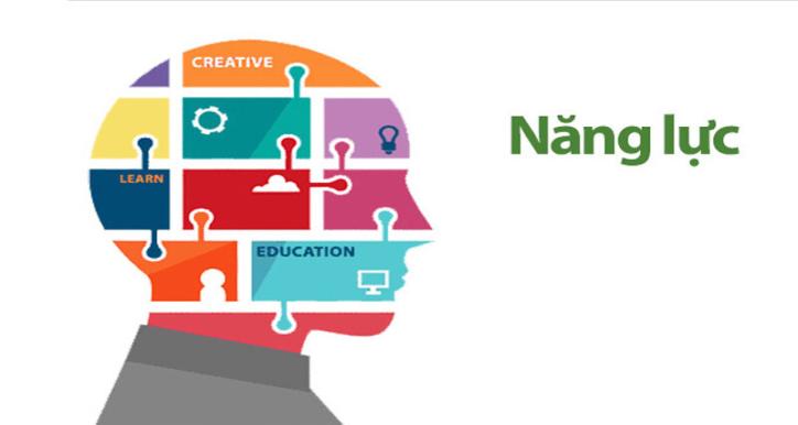 Năng lực nghề nghiệp