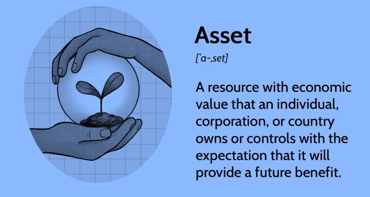 Assets in Accounting