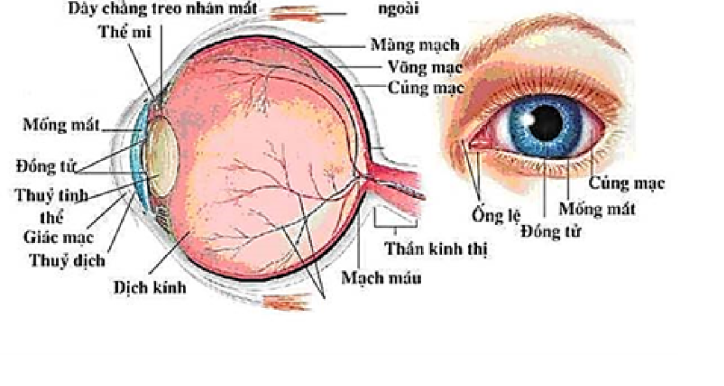 Quang học cơ bản