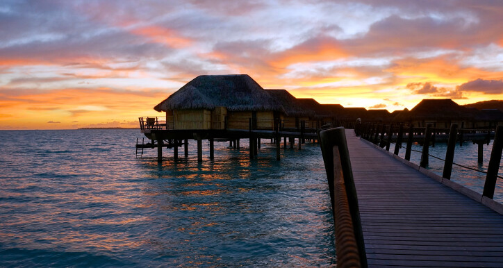 TLIP_ ELEARNING 2024