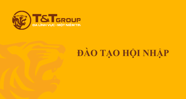Đào tạo hội nhập T&T Group