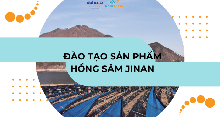 [Nhóm 2] Đào tạo Hồng sâm thái lát tẩm mật ong Hàn Quốc