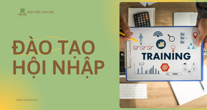 Đào tạo Hội nhập Độc Mộc
