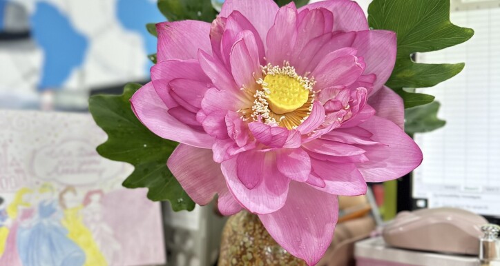 QUY ĐỊNH CHẤM CÔNG SLV