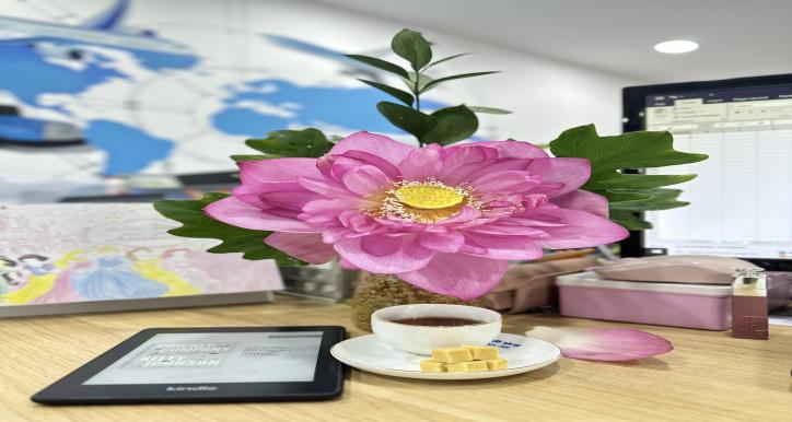 Bộ Cơ Chế, Quy Định Dành Cho SALE