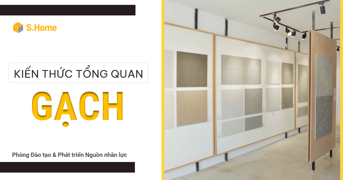 Trọn bộ kiến thức cơ bản về Gạch men