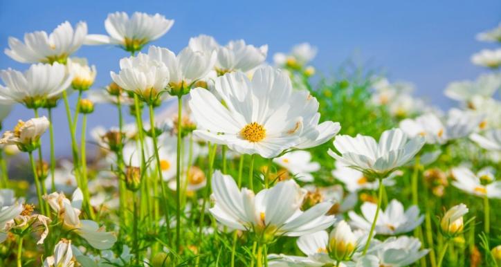 Giang's test - Nâng cao hiệu suất cá nhân trong công việc