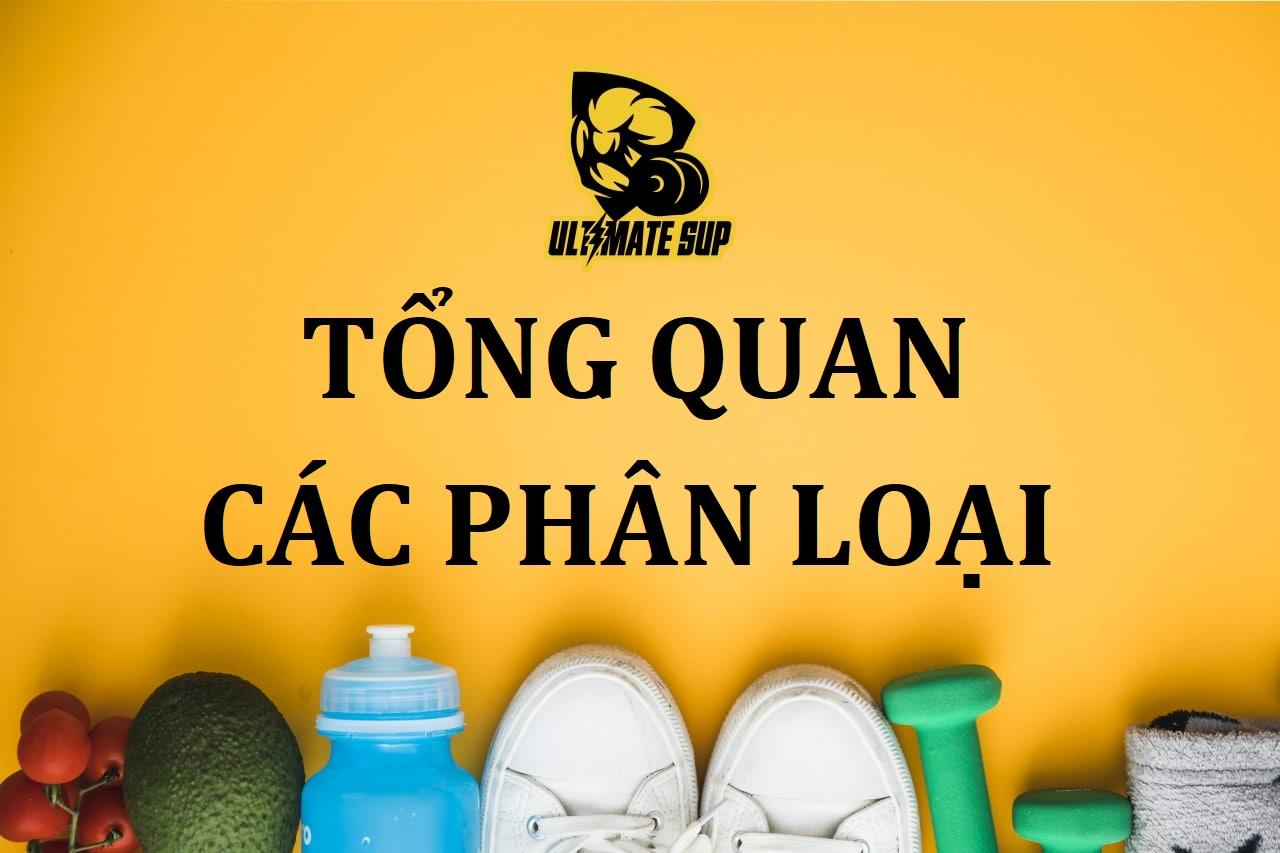 Kiến thức sản phẩm: Tổng quan các Phân loại