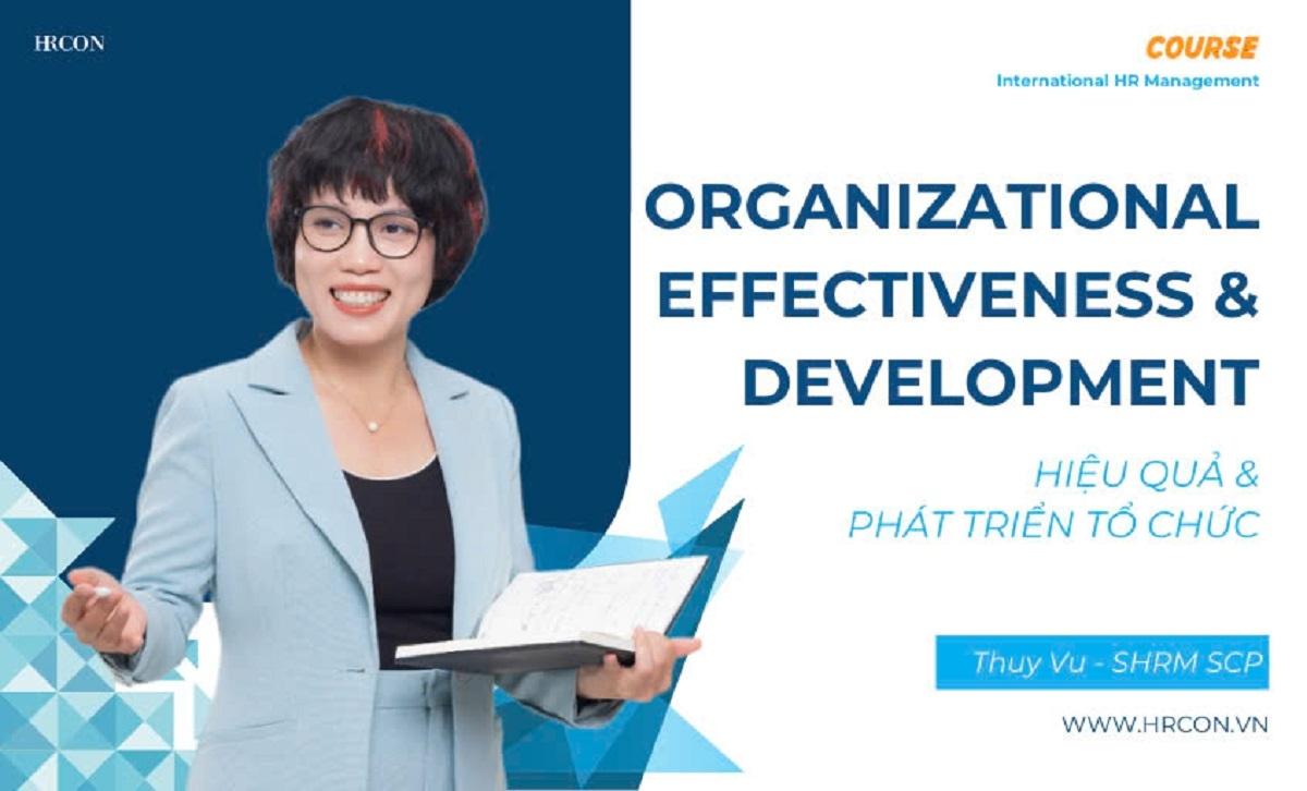 Organizational Development: Nền tảng phát triển bền vững cho doanh nghiệp