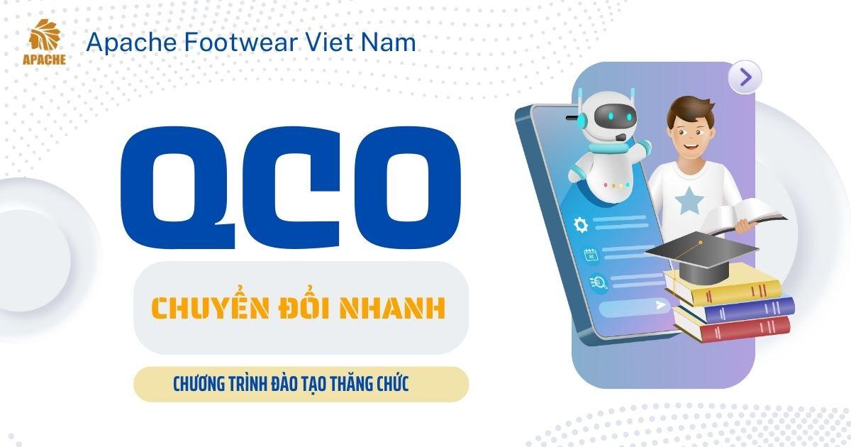 Chuyển đổi nhanh QCO