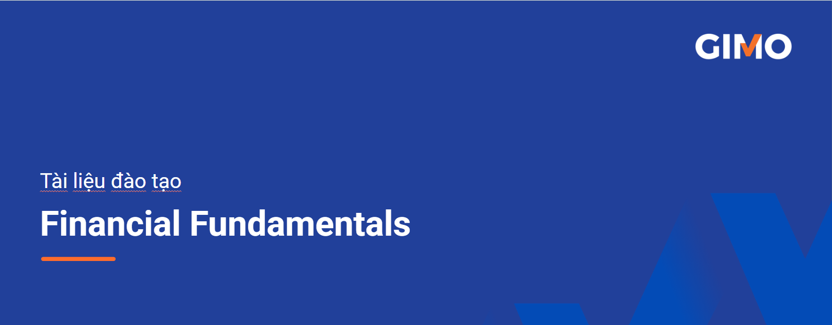 Financial Fundamentals