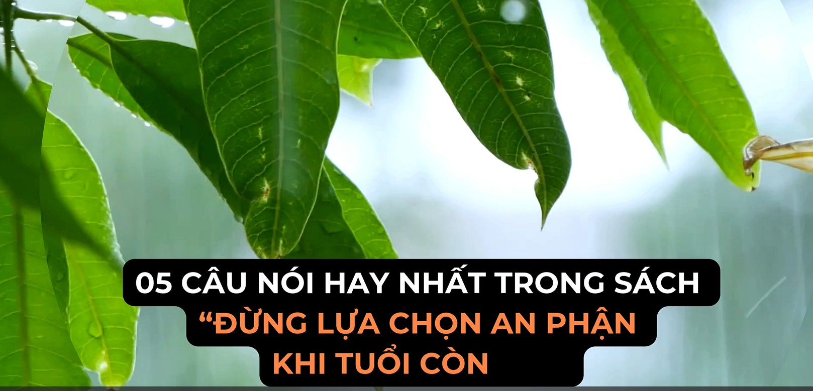 Đừng lựa chọn an phận khi tuổi còn trẻ