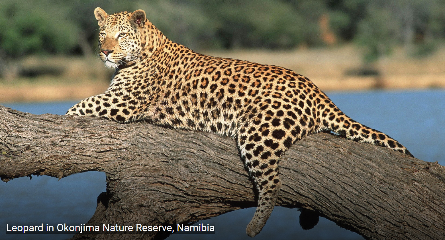 Hướng dẫn soạn thảo văn bản bằng công cụ Mail Merge