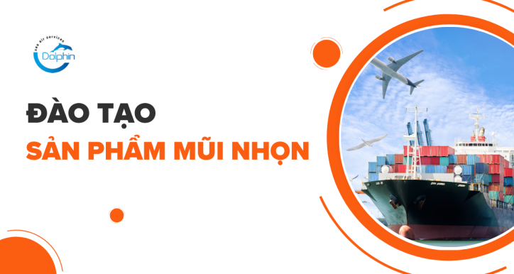ĐÀO TẠO SẢN PHẨM MŨI NHỌN