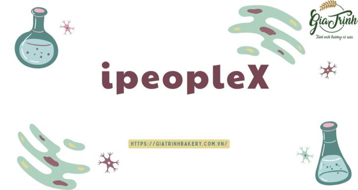 Cách sử dụng IpeopleX dành cho quản lý