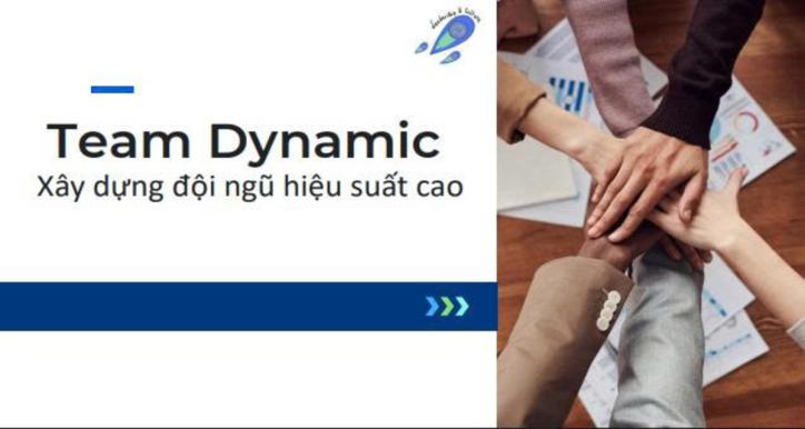 Team Dynamic - Xây dựng đội ngũ hiệu suất cao