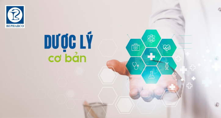 Dược lý cơ bản