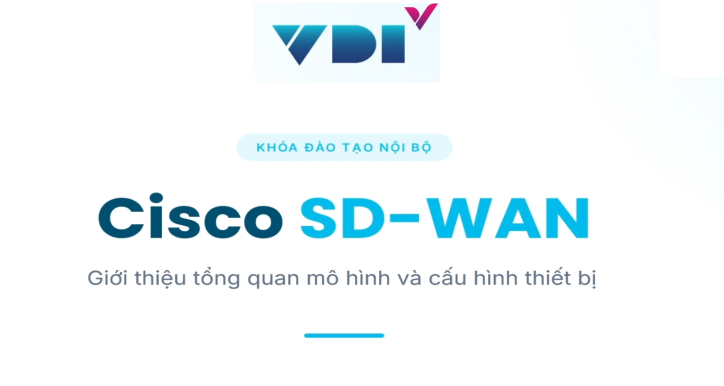 SDWAN- Hướng dẫn cài đặt SDWAN Cisco Viptels