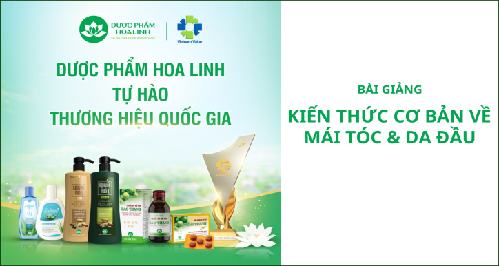 KIẾN THỨC CƠ BẢN VỀ TÓC VÀ DA ĐẦU