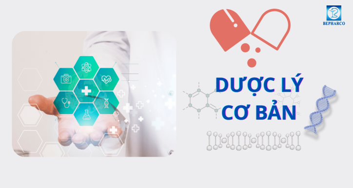 Dược lý cơ bản
