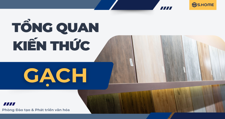 Trọn bộ kiến thức cơ bản về sản phẩm Gạch men