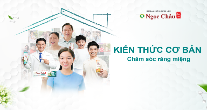 KIẾN THỨC CHĂM SÓC RĂNG MIỆNG CƠ BẢN